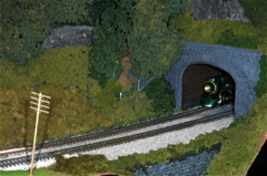 Southern Rocket emerges from the tunnel.JPG