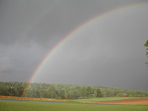 Double Rainbow.jpg