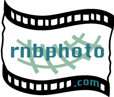 rnbphoto.com
                logo